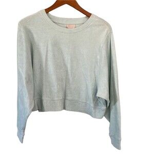Gap Love by Gap Terry Long Sleeve Cropped Top Mint Green Long Sleeve Crew Neck